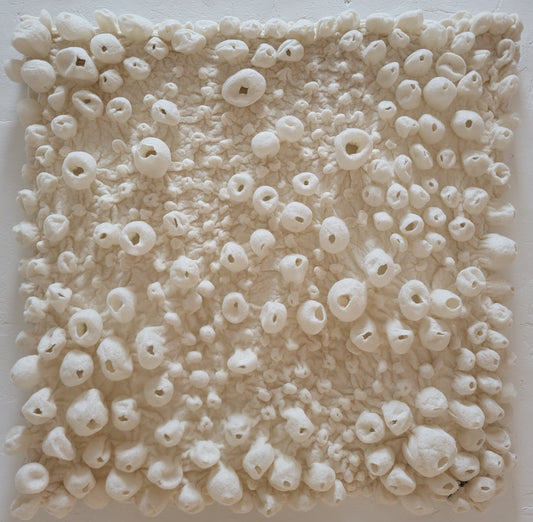 Tenacious (Barnacles Series)