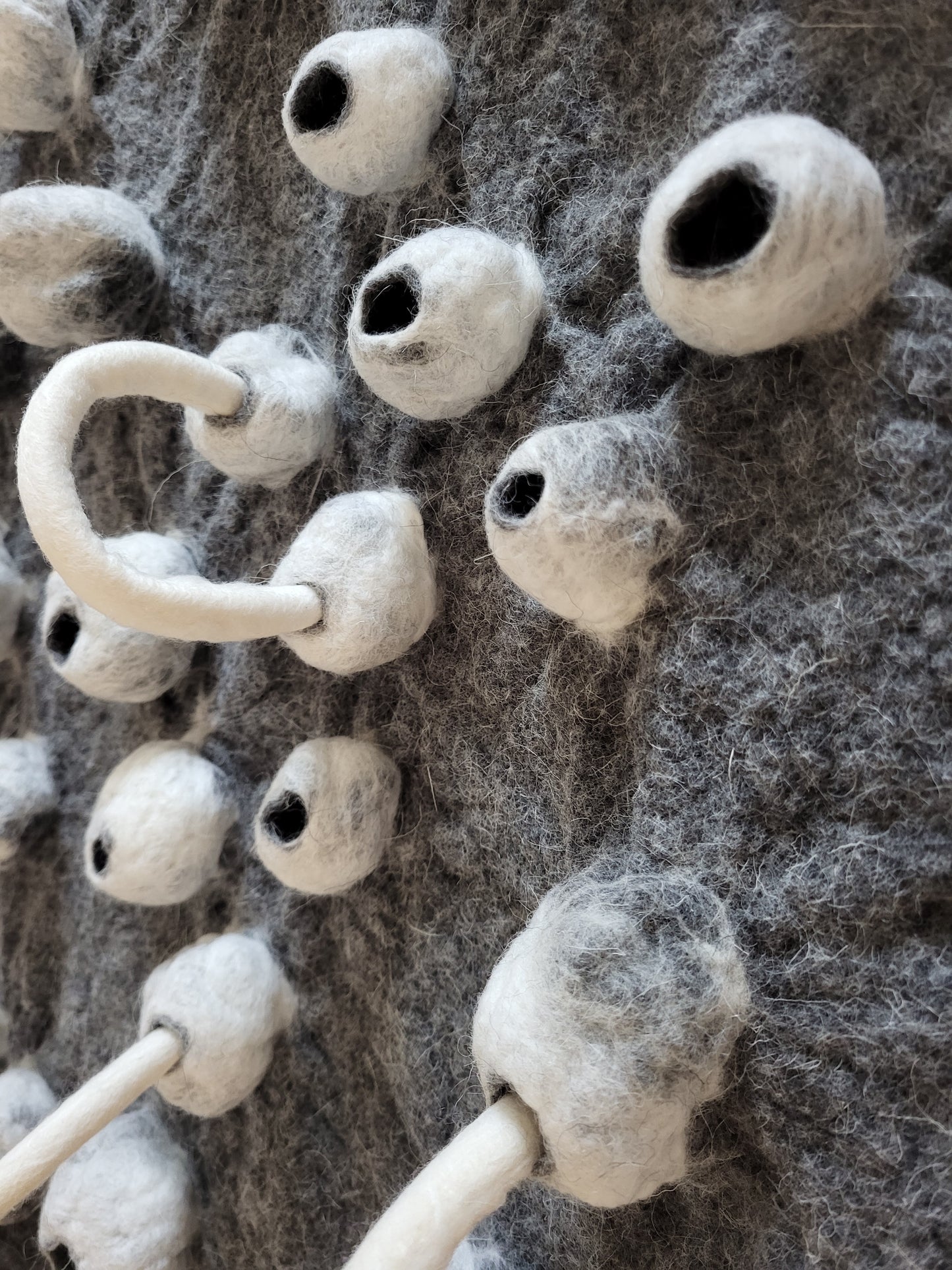 To the Rhythm of the Sea (Barnacle Series)