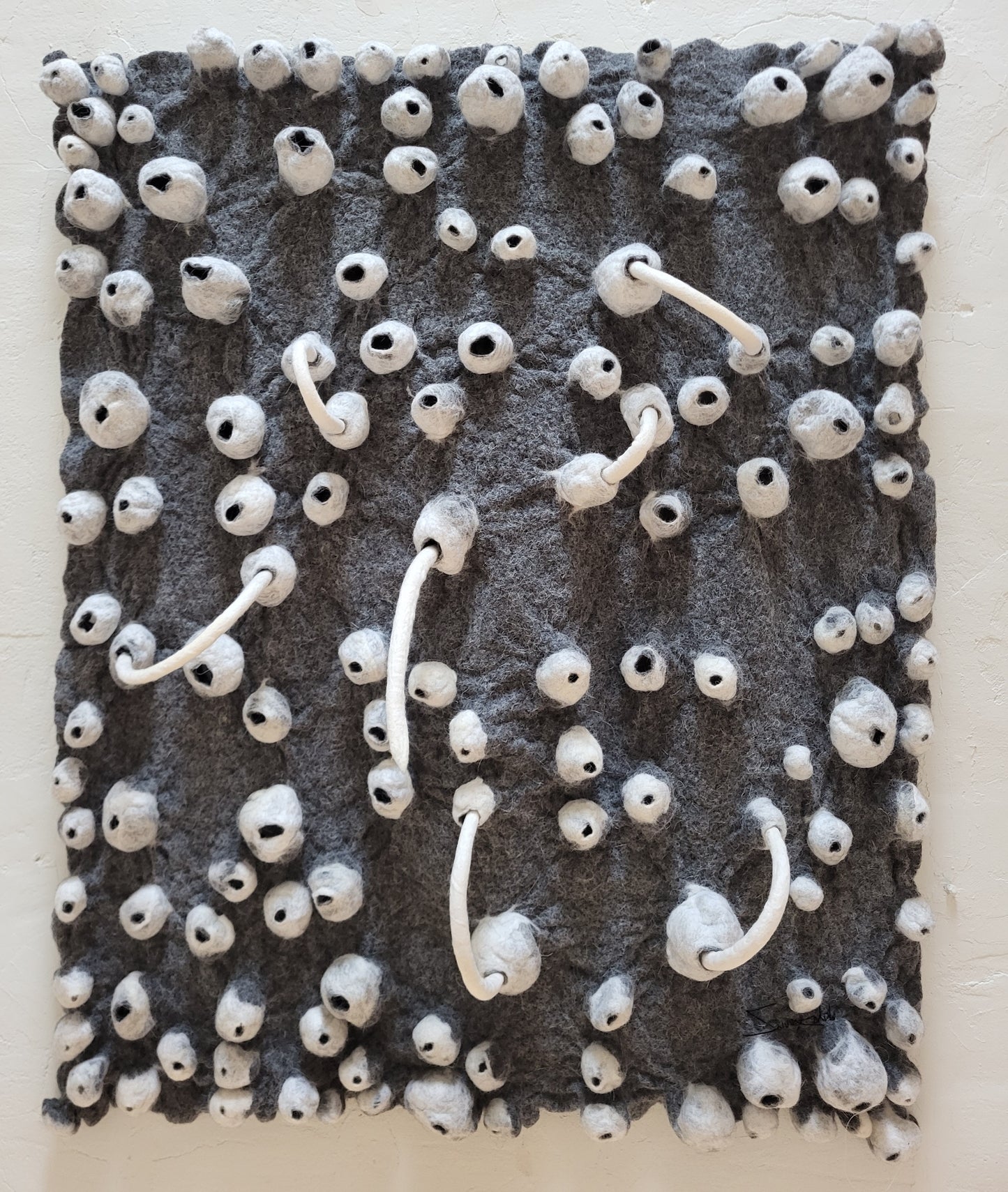 To the Rhythm of the Sea (Barnacle Series)