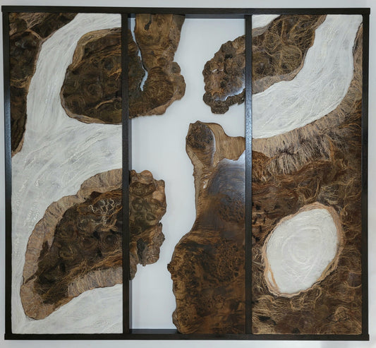 Tide Pools and Rivulets