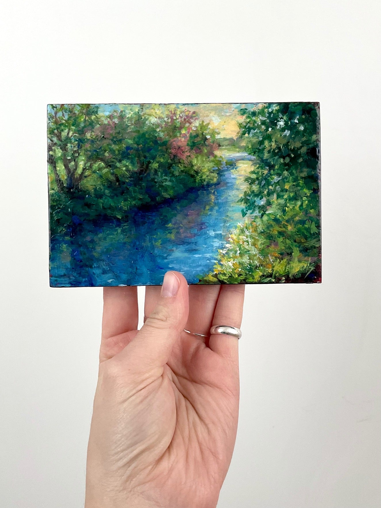 Late Day River