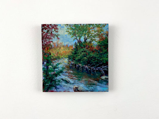 Forest River