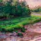 Tidal Bore into Forest