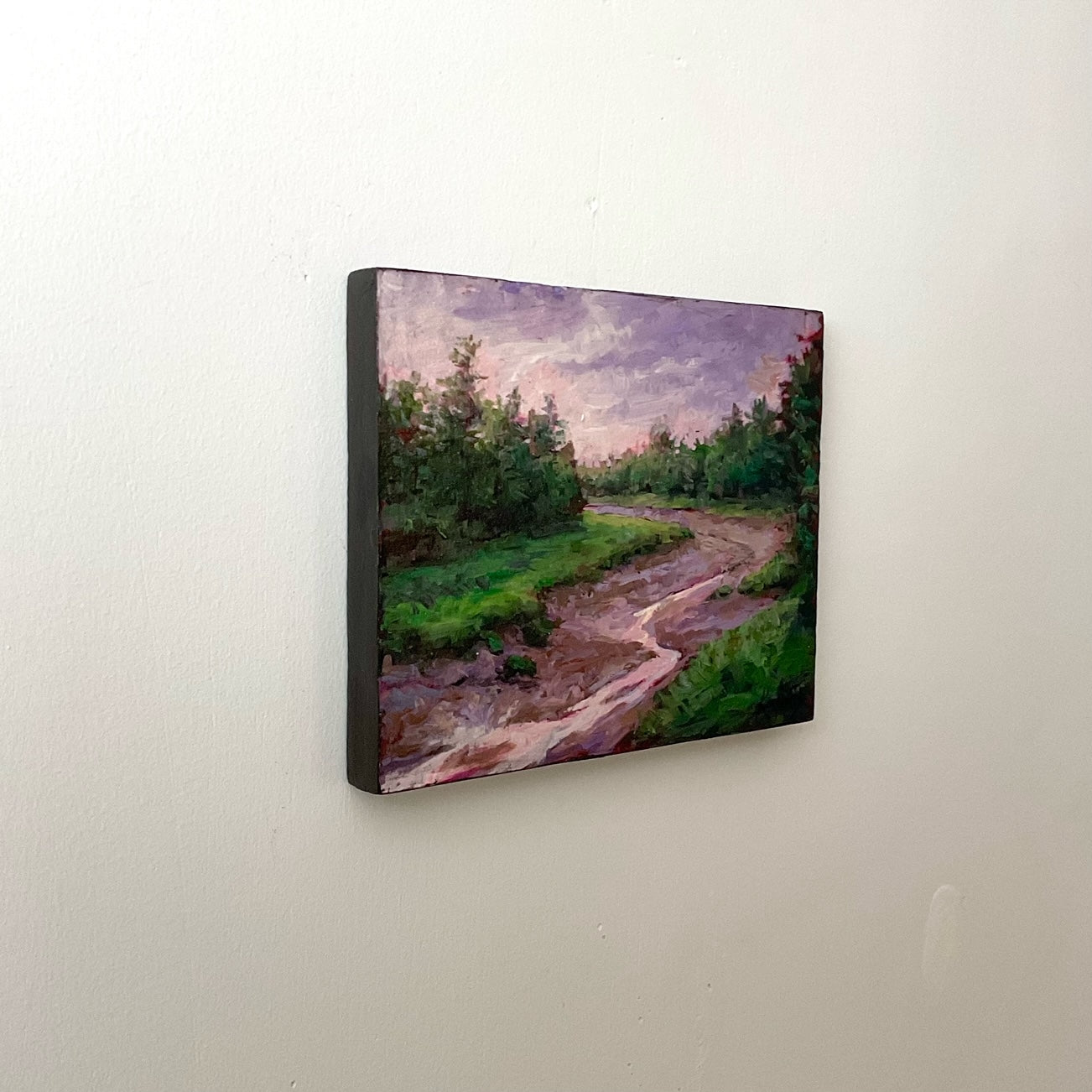 Tidal Bore into Forest