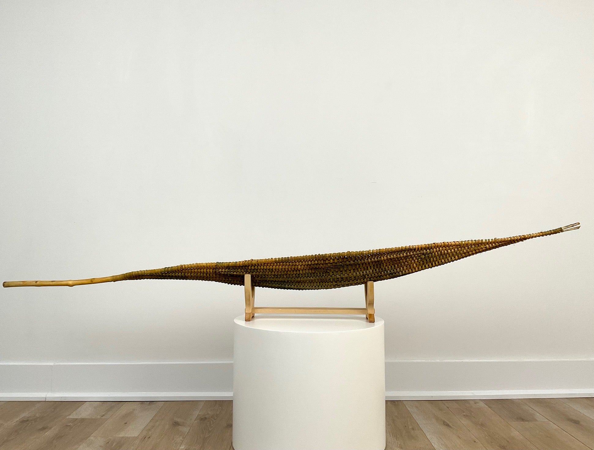 Pod Shell XIII – The Prow Gallery